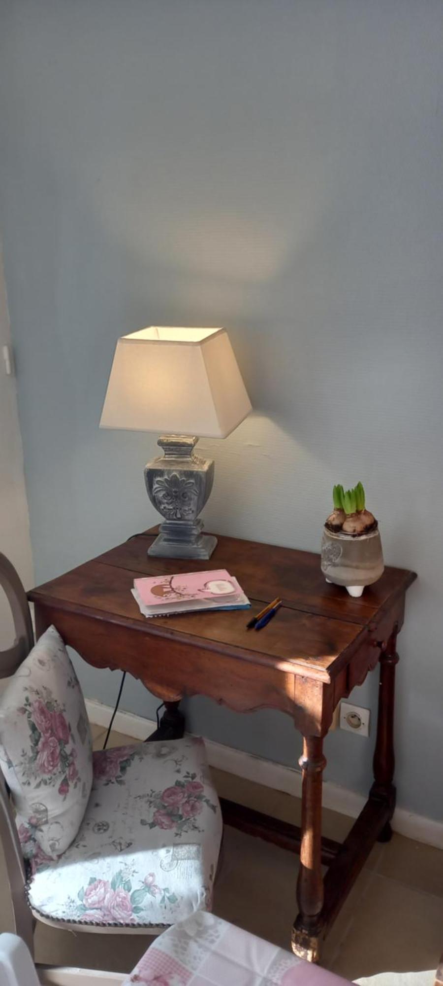 Les Demeures De La Laigne Bed & Breakfast Allas-Bocage Eksteriør bilde