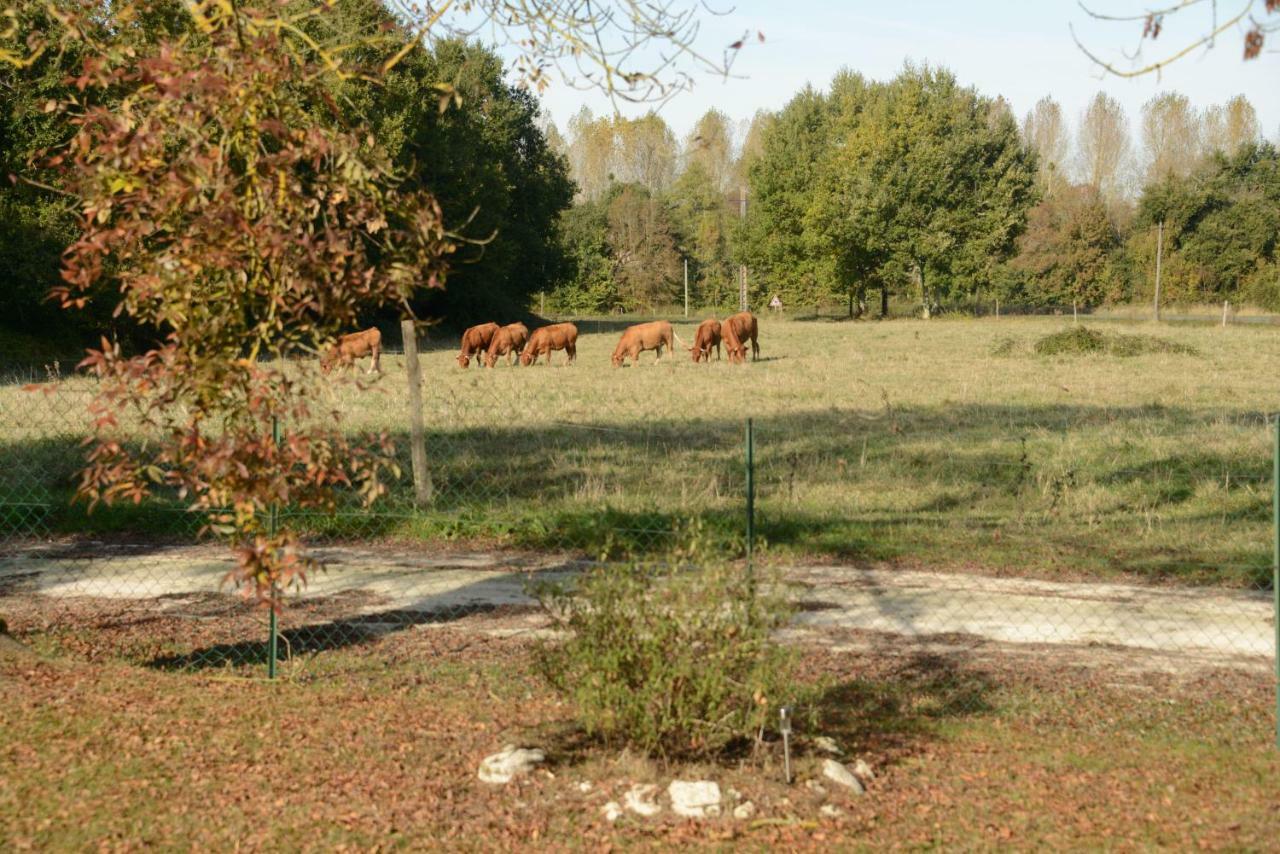 Les Demeures De La Laigne Bed & Breakfast Allas-Bocage Eksteriør bilde